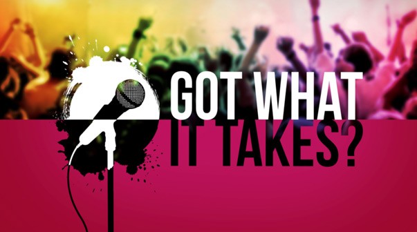 Got What It Takes 